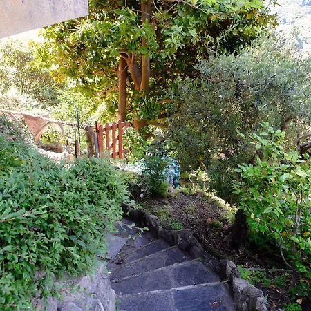 Villa Del Sole - Garden