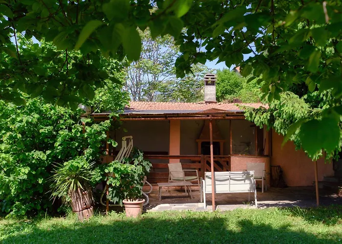 Del Sole - Garden *